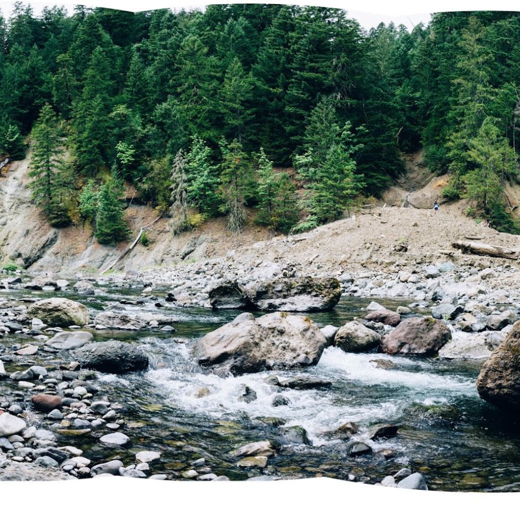 needmore-camping-panorama