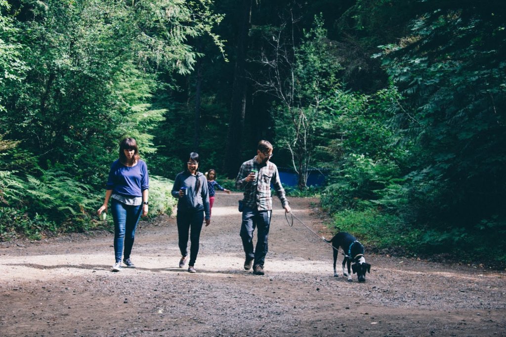 needmore-camping-walk