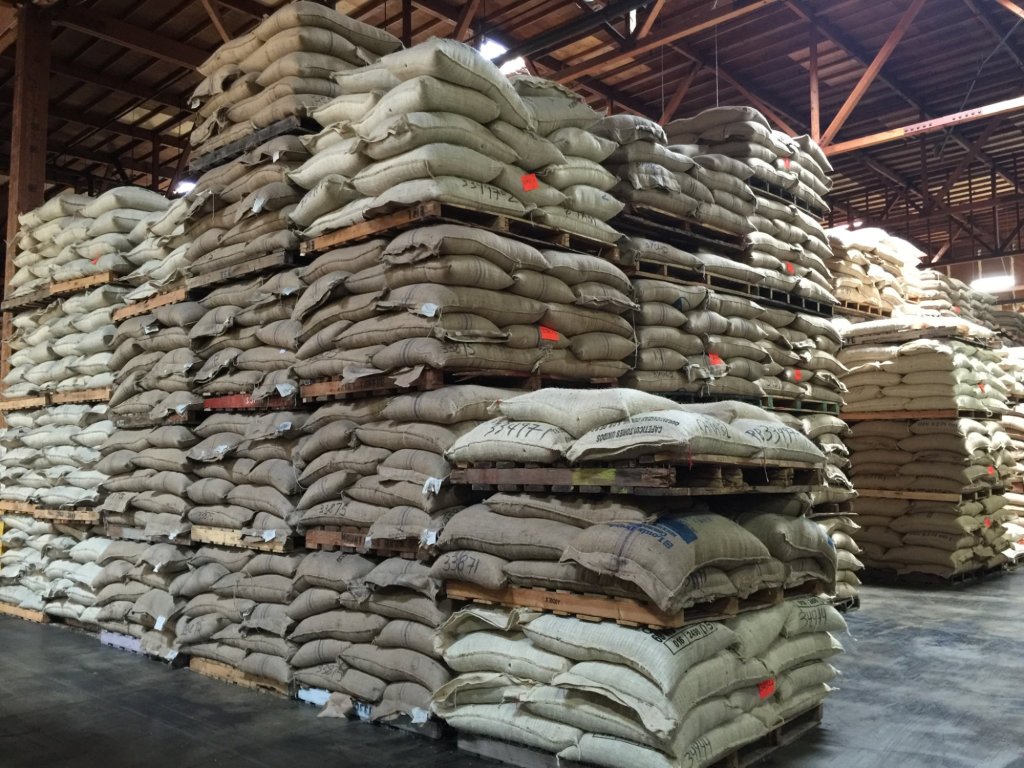 Green coffee at Royal Coffee Importers
