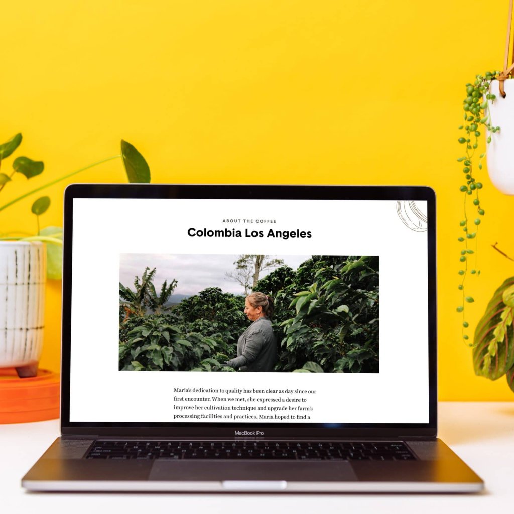 Parlor Colombia los angeles on MacBook