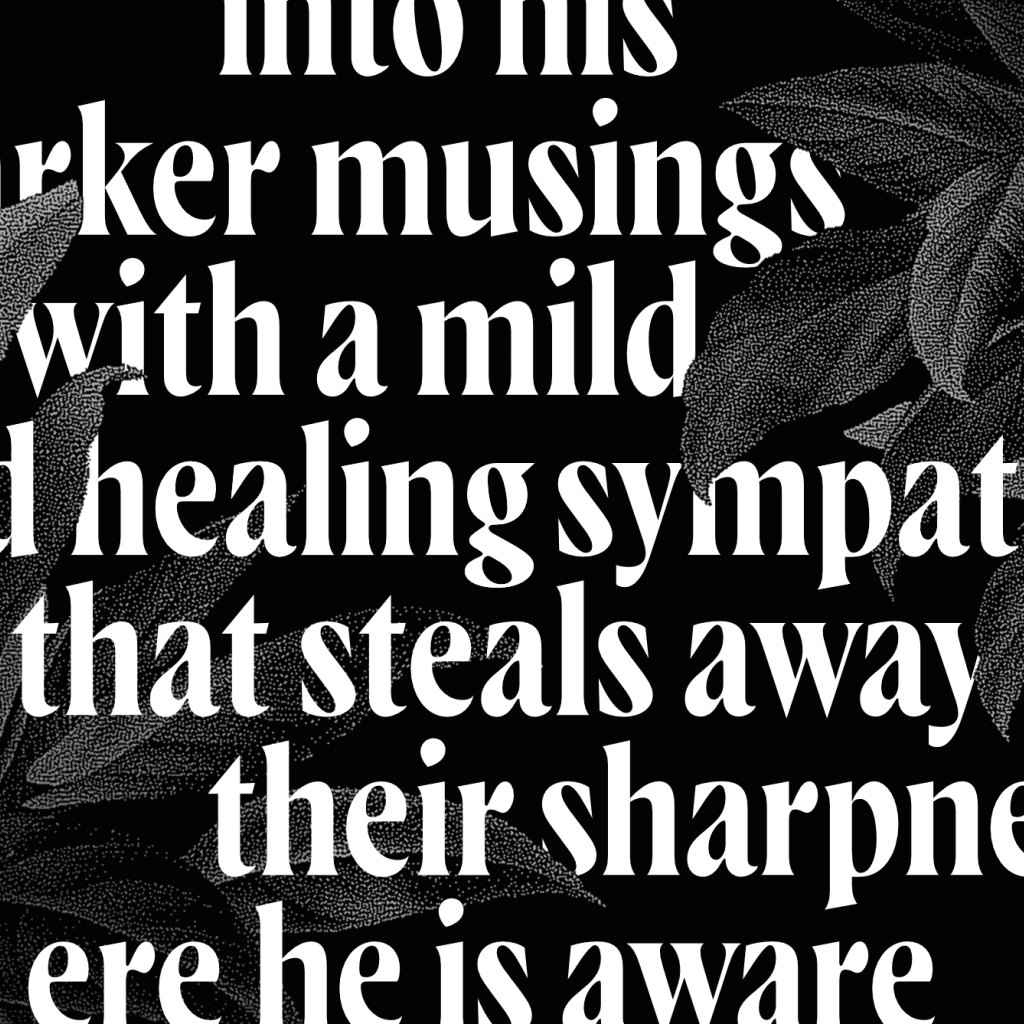 Example of Wayfinder typeface in use