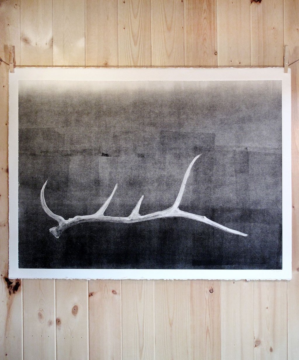 pine-fort-press-shed-antler-study