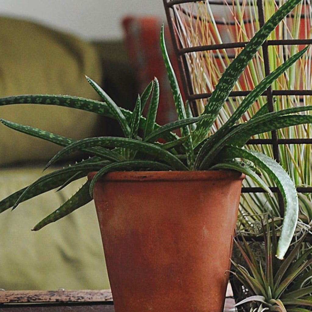 Space Design arrangement